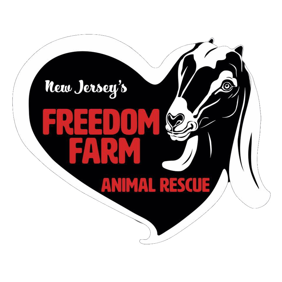 Freedom Farm Animal Rescue